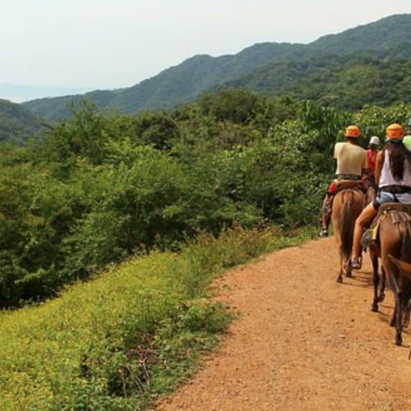 Paseos en Mula en Puerto Vallarta